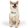 710 Pet Bandana Collar - Image 7