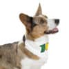 710 Pet Bandana Collar - Image 11